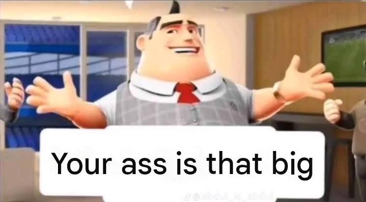 20543