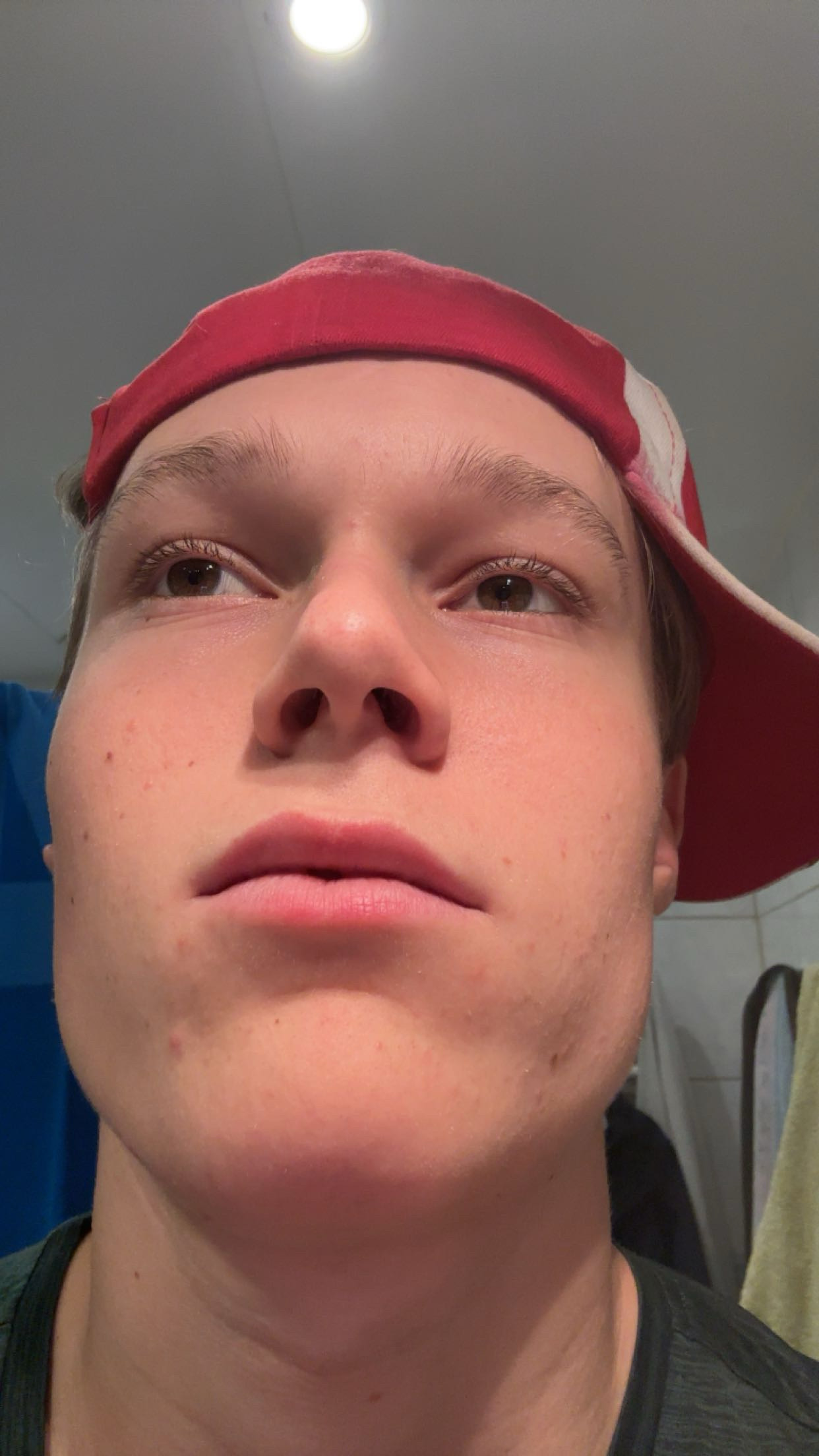 IMG 1195