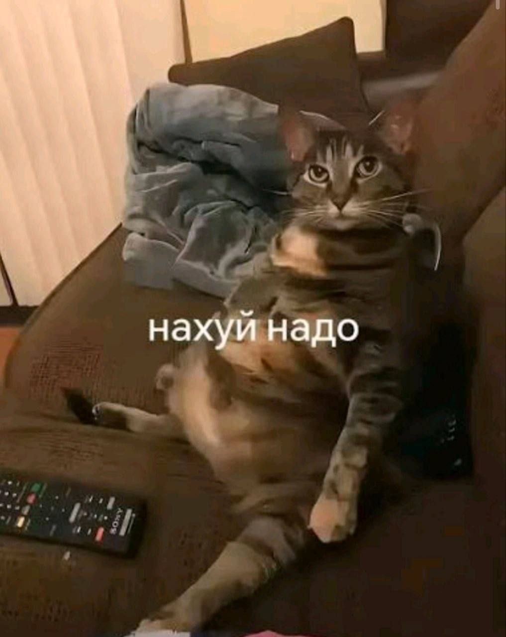 IMG 20260909 001757 603
