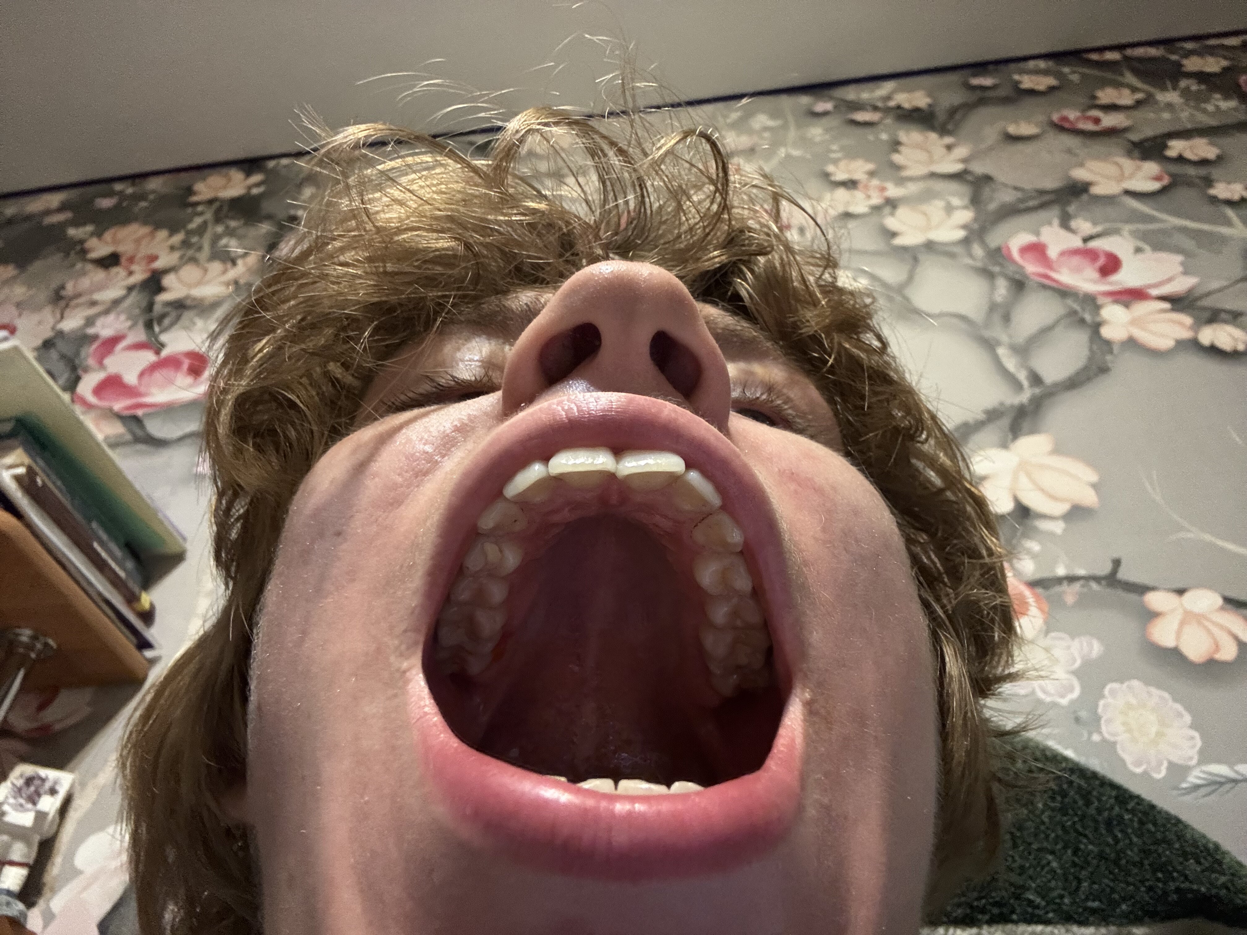 IMG 3421