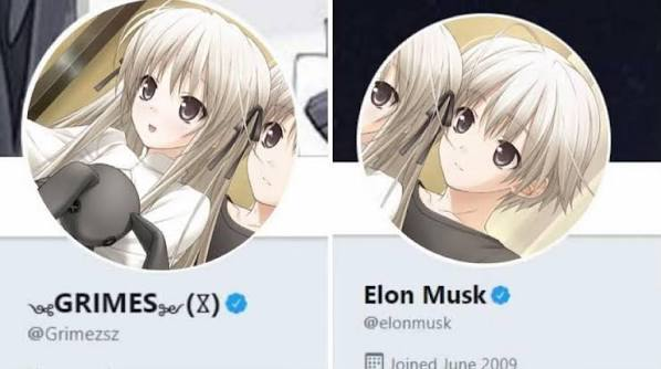 1790614233461