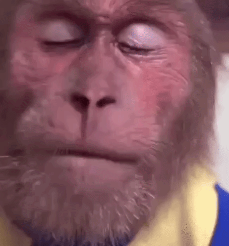 Monkey tearing up monkey crying ezgifcom video to gif converter
