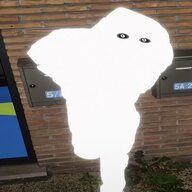 1000088688