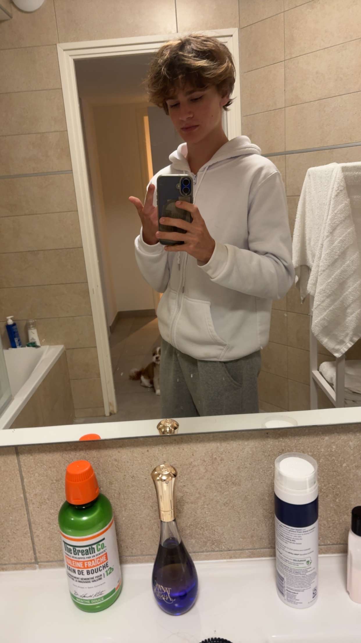 IMG 3795