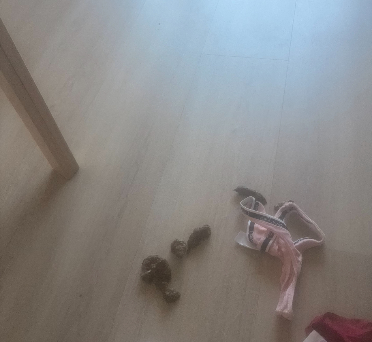 IMG 1689