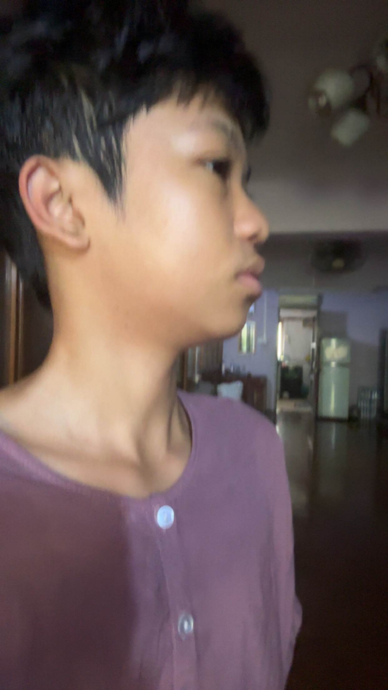 IMG 1952