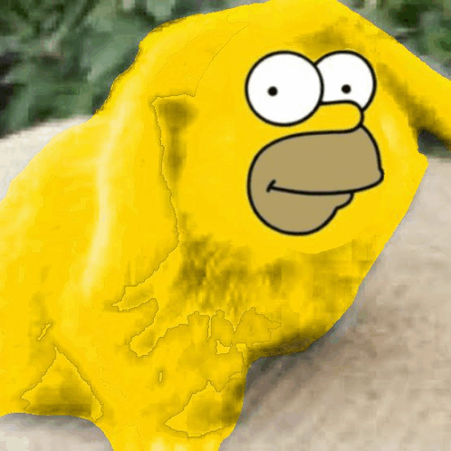 1790694274628
