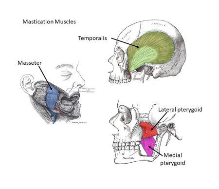 1790702935138