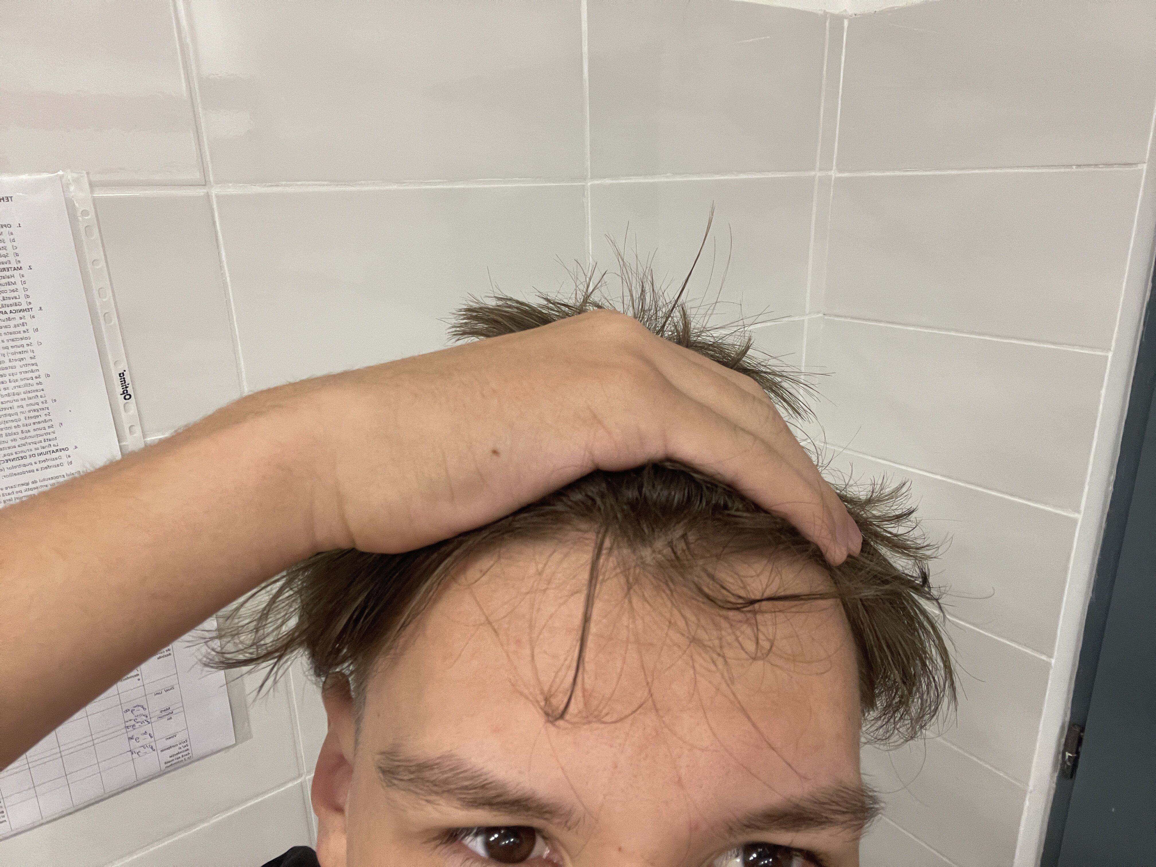 IMG 7863