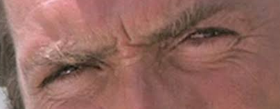 1790729243732