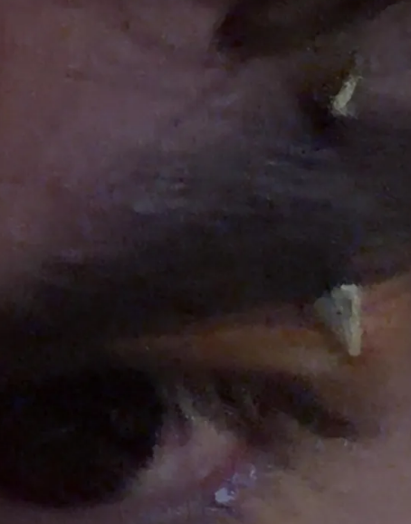 1790731874215