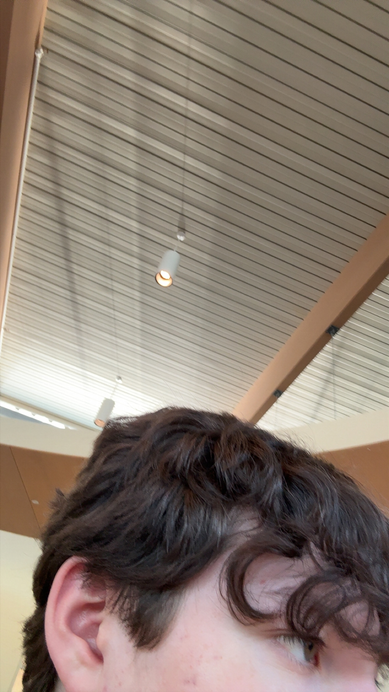 IMG 7638