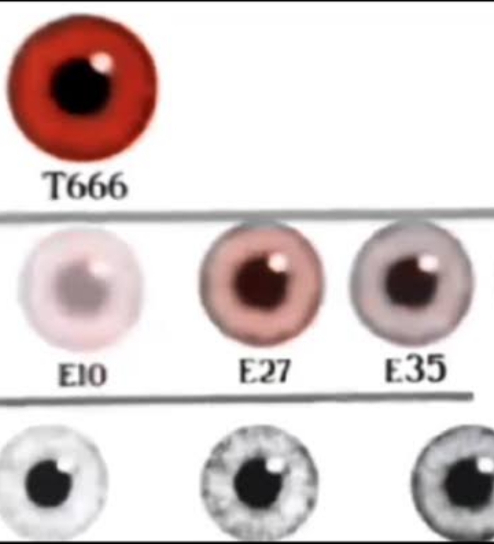 17737
