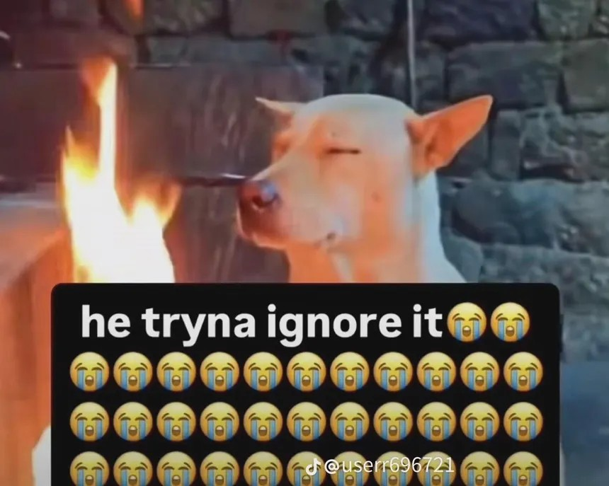 1790768865542