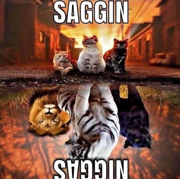 1000022661