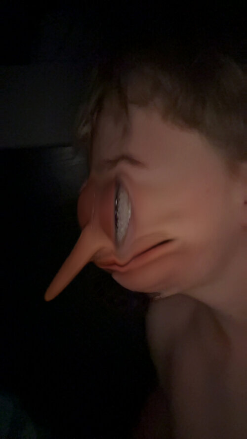 IMG_6206.jpeg