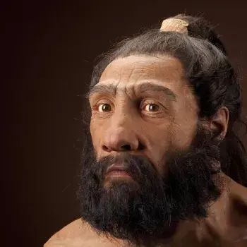 Neanderthalensis JG Recon Head CC 3qtr lt l