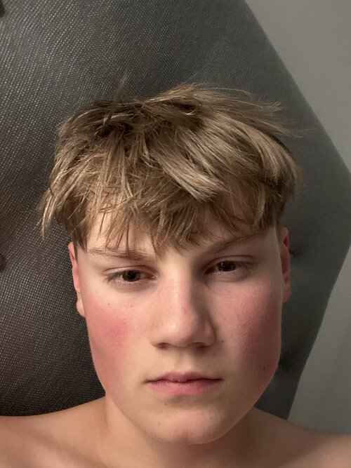 image.jpg