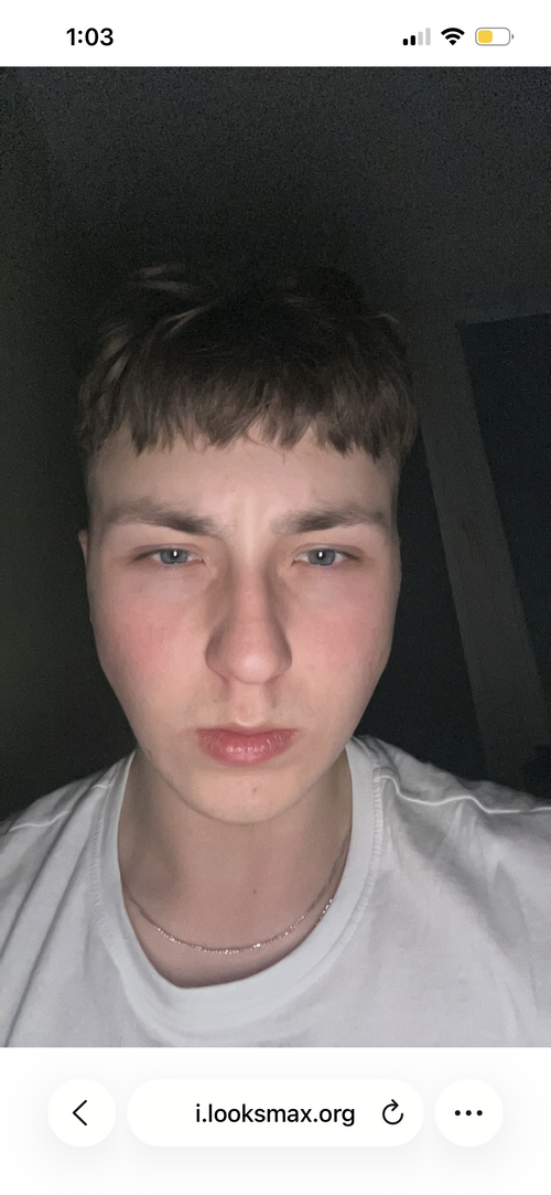 IMG_3734.png