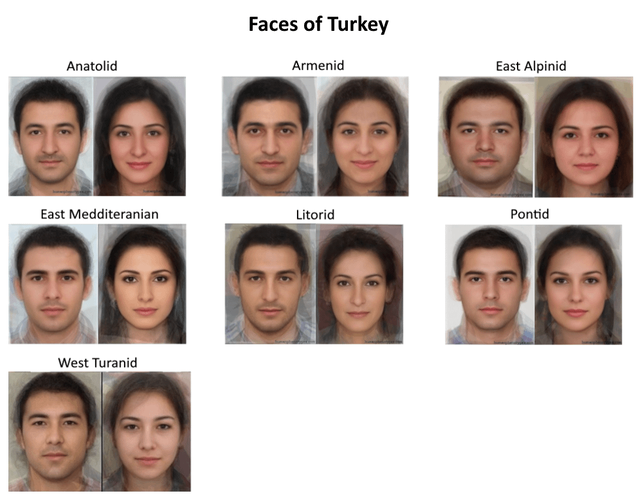 Of these turkish phenotypes which one is the most common v0 8q2hzkzy1pyc1