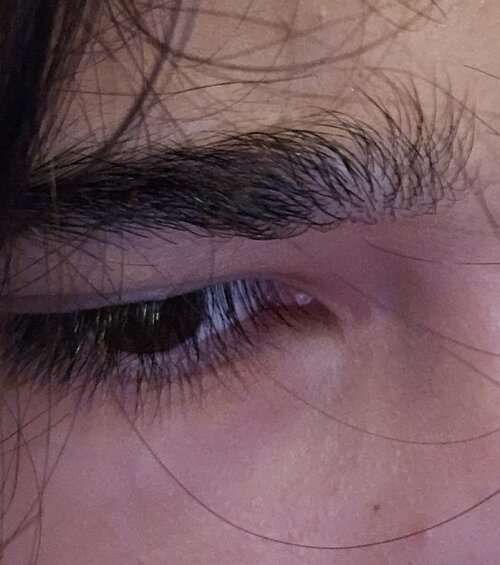 20260903_163131.jpg