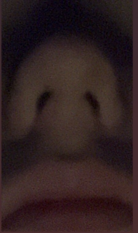 IMG_3211.jpeg