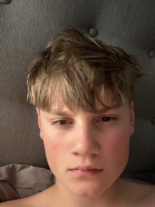 image.jpg