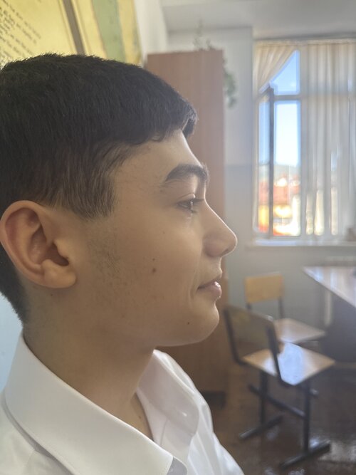 image.jpg