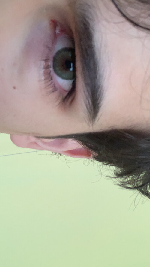 IMG_9116.jpeg