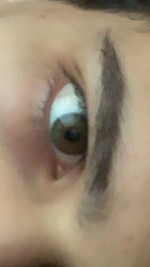 IMG_9065.jpeg