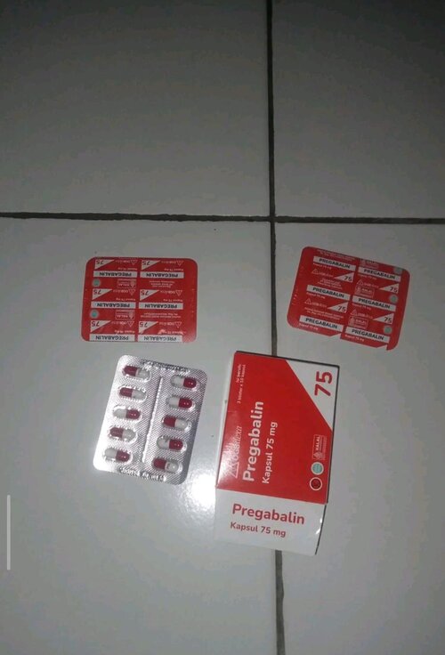 WA 1788524061318