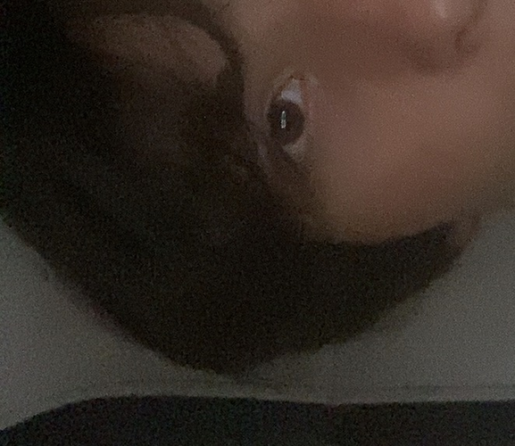 IMG_3472.png