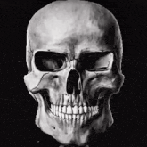 IMG_8784.gif