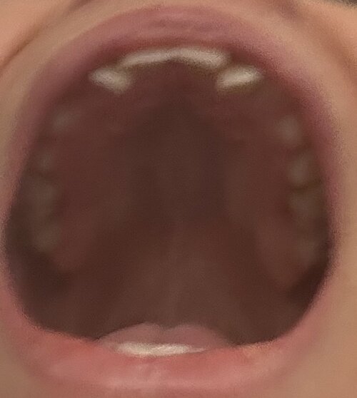 IMG_3487.jpeg