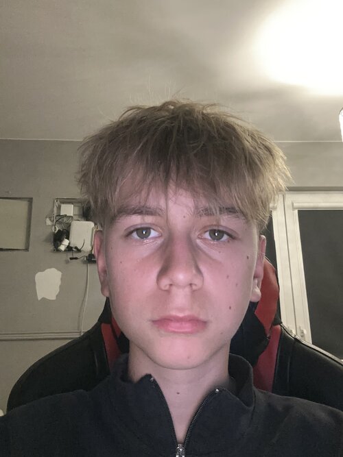 image.jpg
