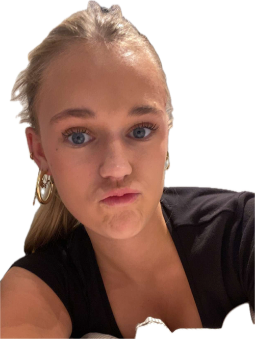 Emne.png