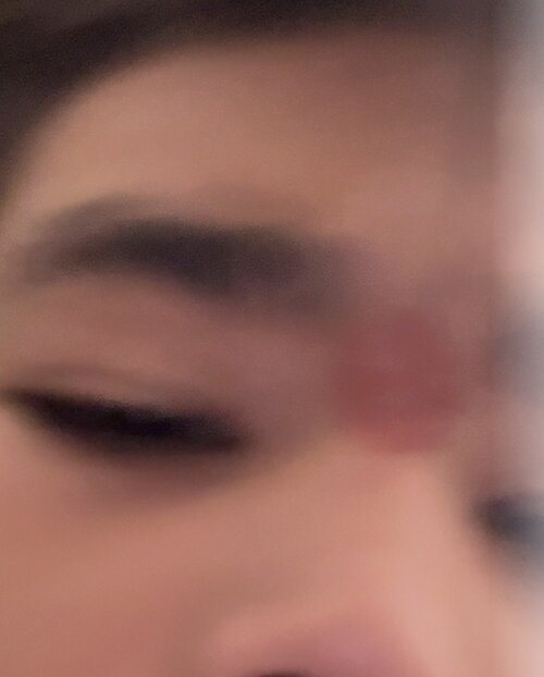 IMG_5387.jpeg