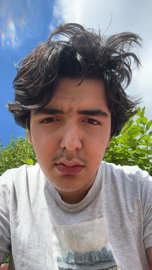 chopped chin.png