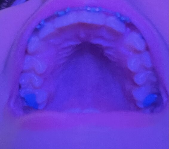 IMG_5510.jpeg