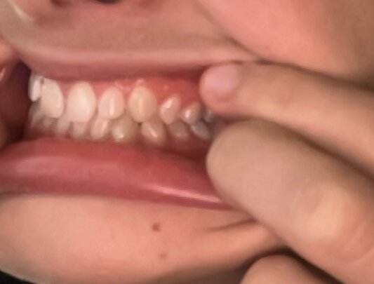 IMG_1532.jpeg