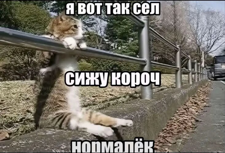 1785500989950.jpg