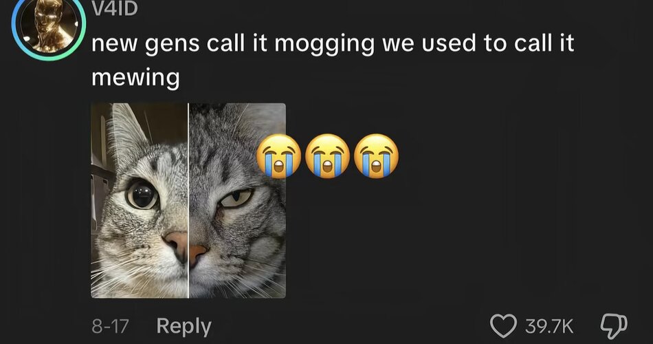 Screenshot_20260912_215621_TikTok.jpg