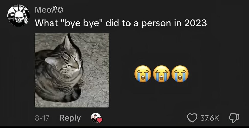 Screenshot_20260912_215627_TikTok.jpg