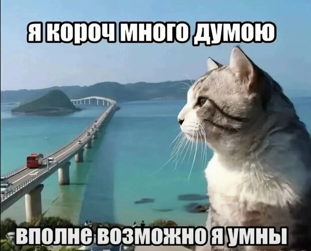 1785500997468.jpg
