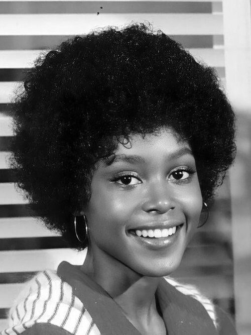 Brenda sykes 1970s v0 q3qegdu0jm0d1