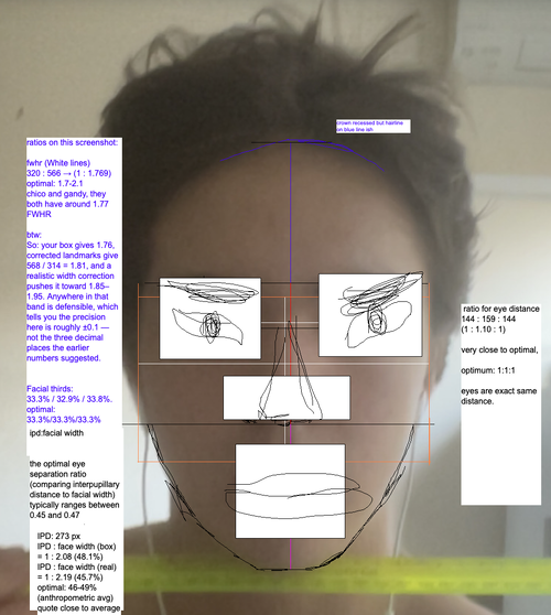 facial ratios 1.png