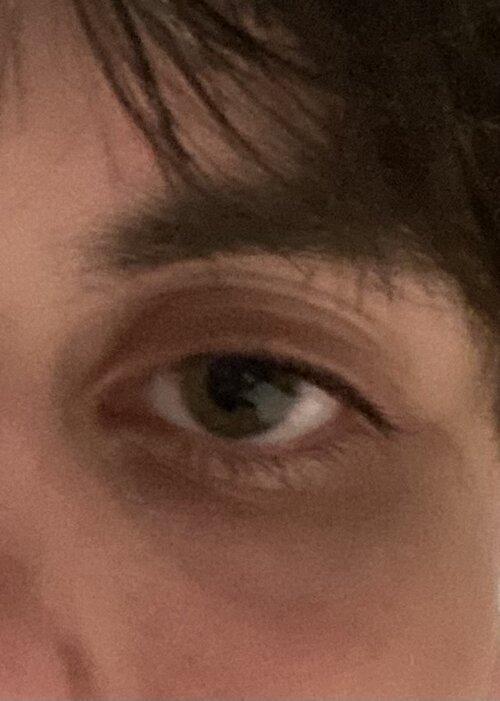 IMG_3448.jpeg