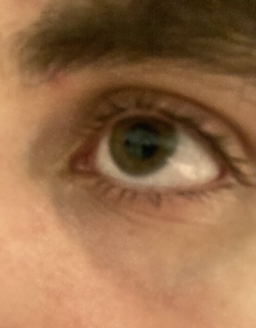 IMG_3440.jpeg