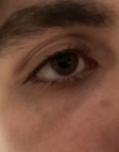 IMG_3443.jpeg