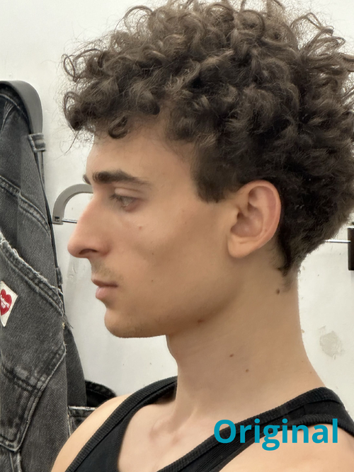 RhinoOriginal.png